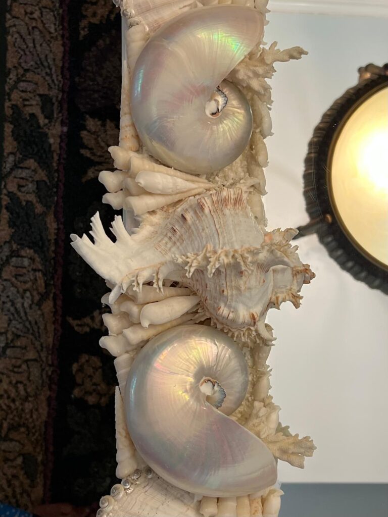 photo 2025 10 01 16 15 20 4
